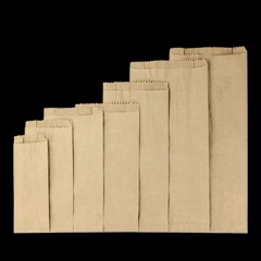 Saco de Papel Kraft 1/2KG 10,5x17 C/500